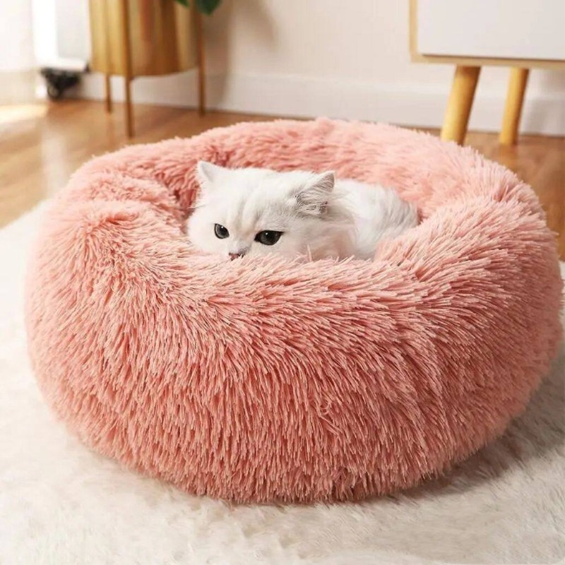 Pet Supplies In Australia - Party Baumwoll-Hundebett Flauschig Modern Australien Memory-Schaum