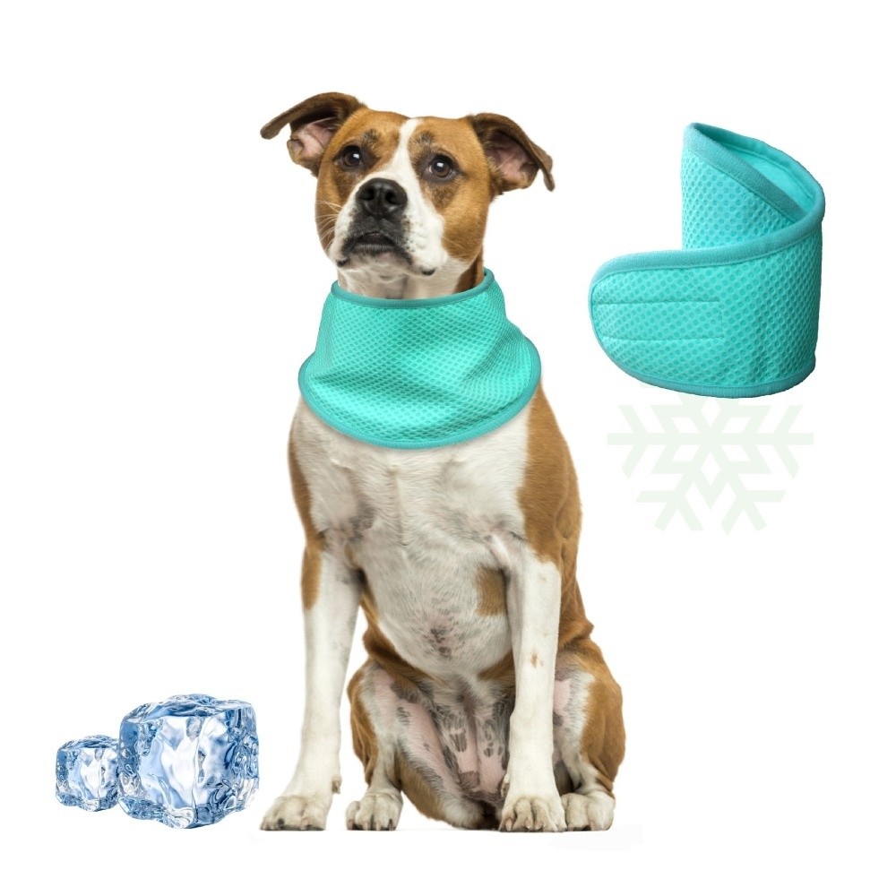 Neues Verstellbares Hunde-Kühl – Dog Bandana Scarf Bewertung und Preis