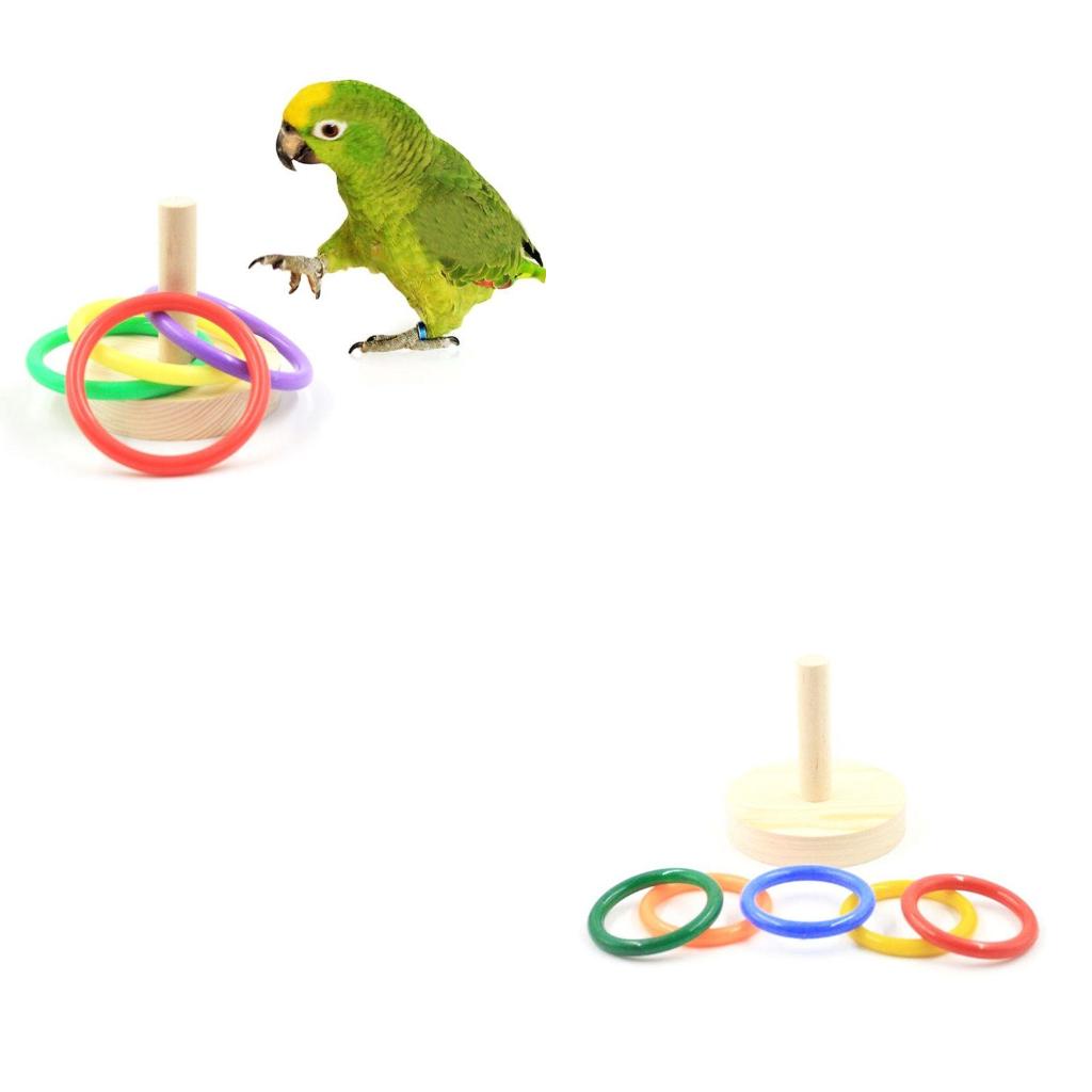 Vogelpapagei Holzplattform Kun – Pet Supplies Ringwood Bewertung und Preis