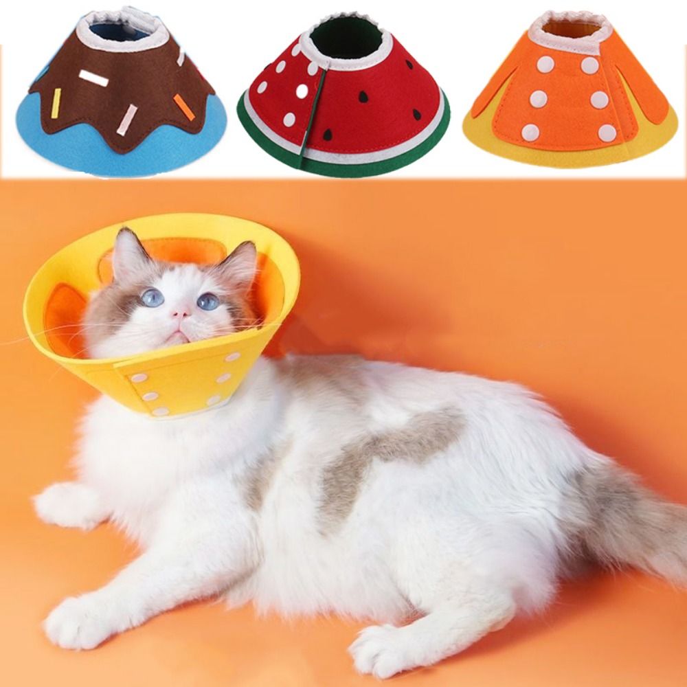Praktische weiche Halsbänder i – Pet Supplies Ringwood Bewertung und Preis