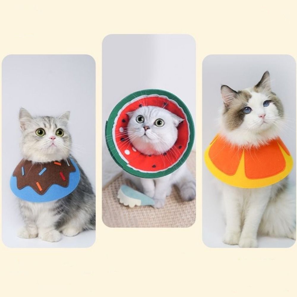 Praktische weiche Halsbänder i – Pet Supplies Ringwood Bewertung und Preis