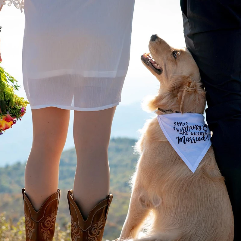 Mein Menschen sind Immer Verhe – Dog Bandana Scarf Bewertung und Preis