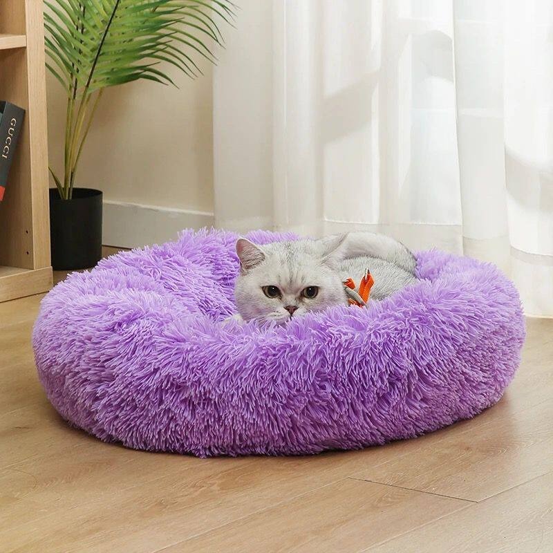 Party Baumwoll-Hundebett Flaus – Pet Supplies In Australia Bewertung und Preis