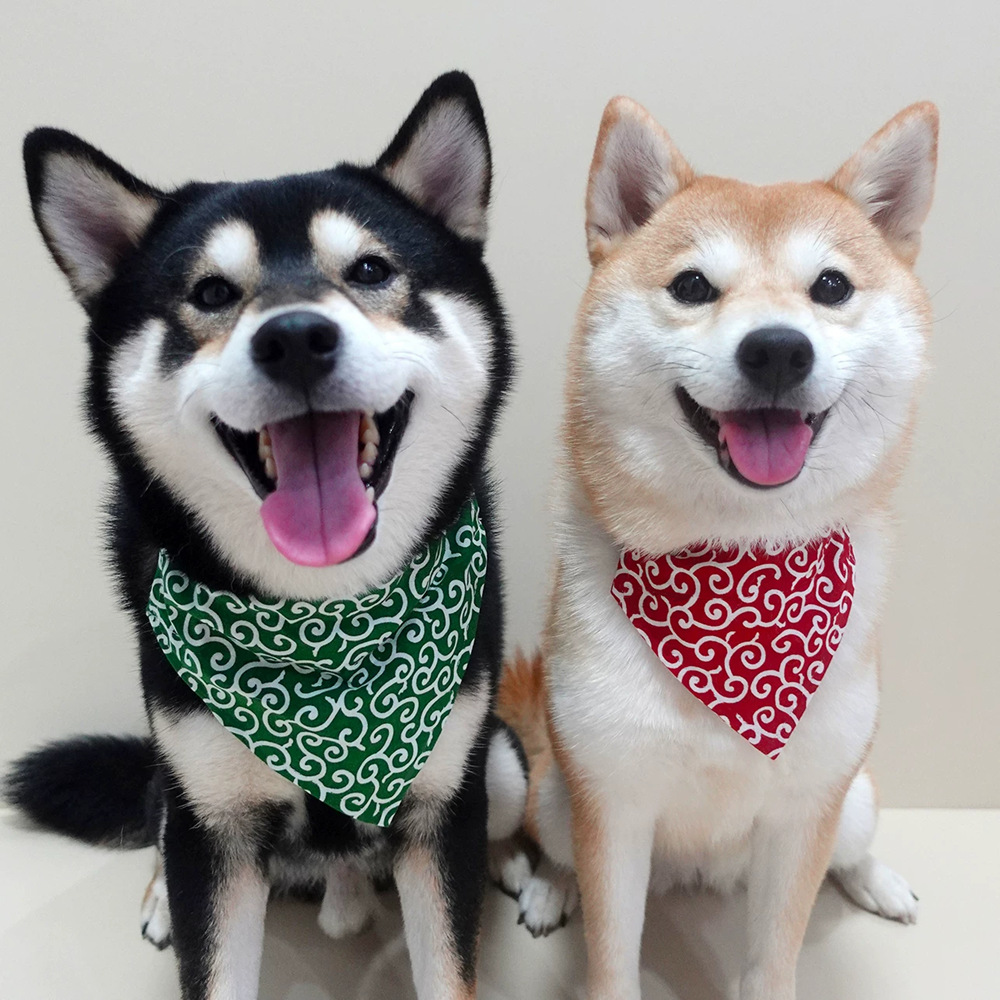 Hundezubehör NEU Haustier Hund – Dog Bandana Scarf Bewertung und Preis