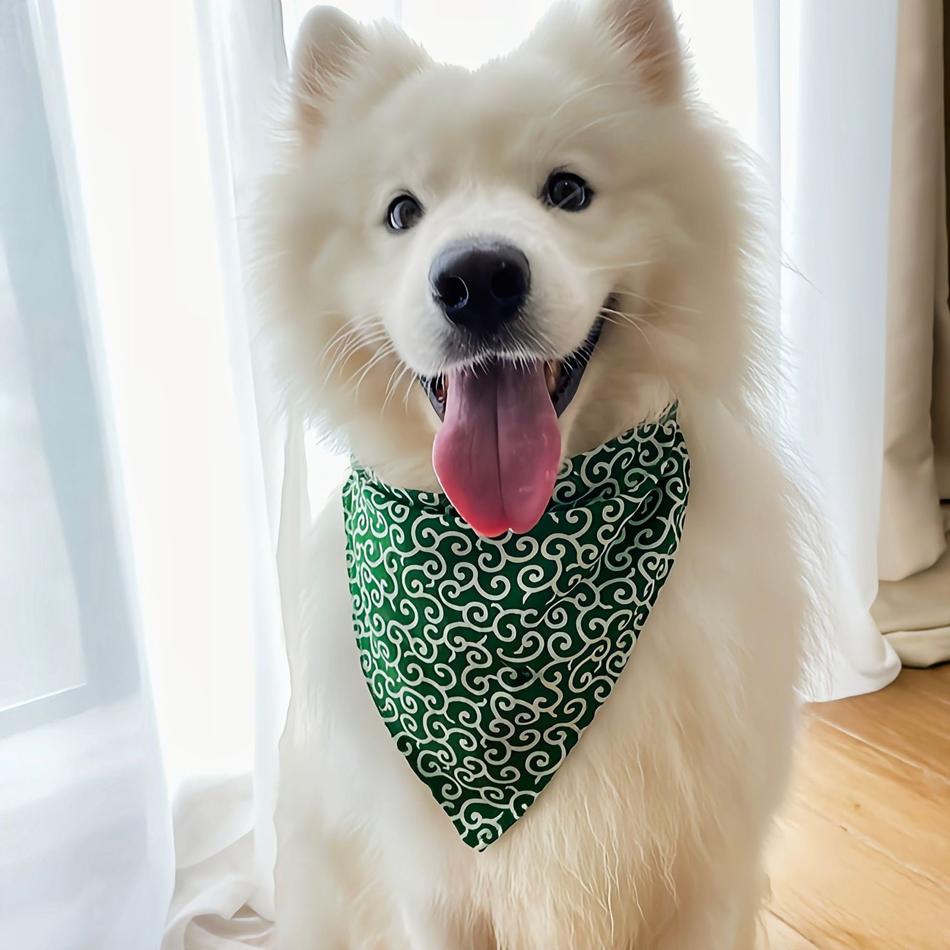 Hundezubehör NEU Haustier Hund – Dog Bandana Scarf Bewertung und Preis